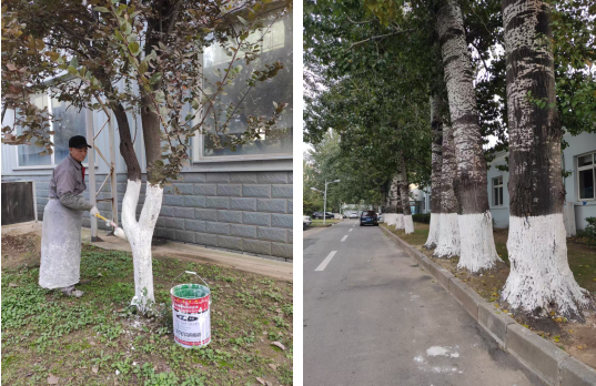 連心物業(yè)多措并舉保障電力設(shè)備公司園區(qū)平穩(wěn)過冬